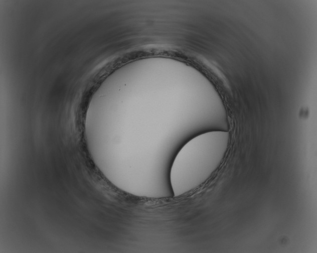 X0000096691015200802051032