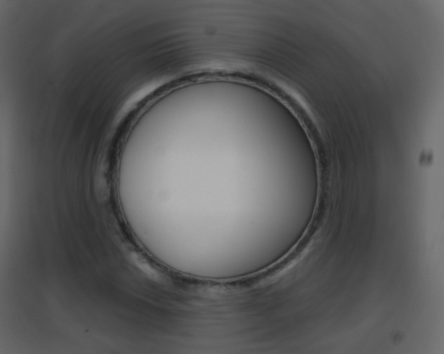 X0000096691018200802051032
