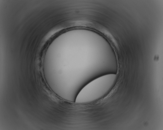 X0000096691019200802051032