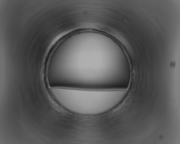 X0000096691020200802051032