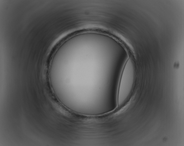 X0000096691021200802051032