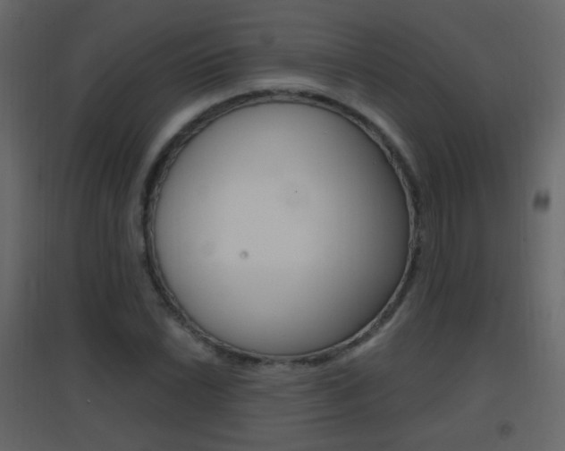 X0000096691022200802051032