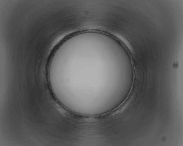 X0000096691023200802051032