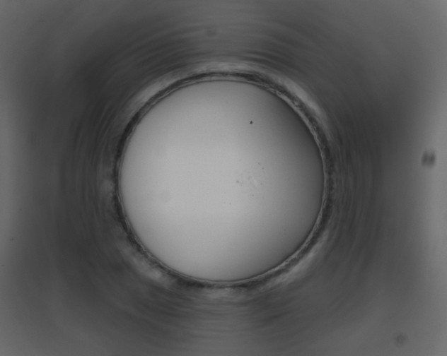 X0000096691025200802051032