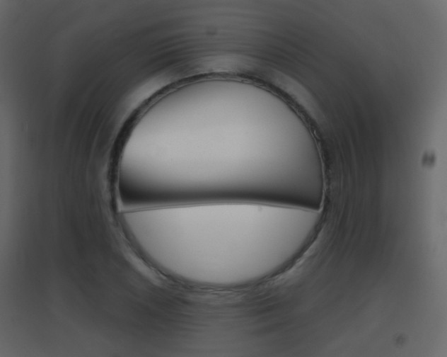 X0000096691026200802051032