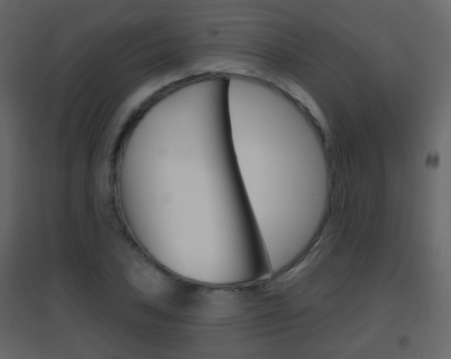 X0000096691027200802051032