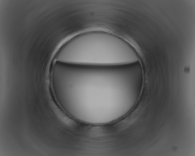 X0000096691028200802051032
