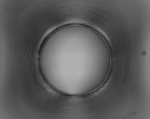 X0000096691029200802051032