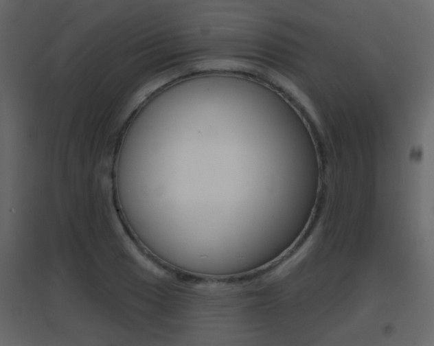 X0000096691033200802051032