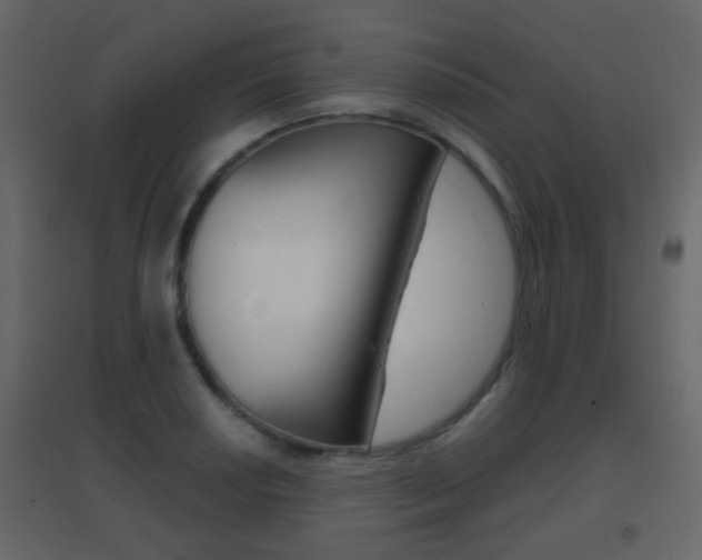 X0000096691034200802051032