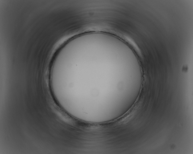 X0000096691035200802051032