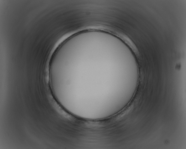 X0000096691036200802051032