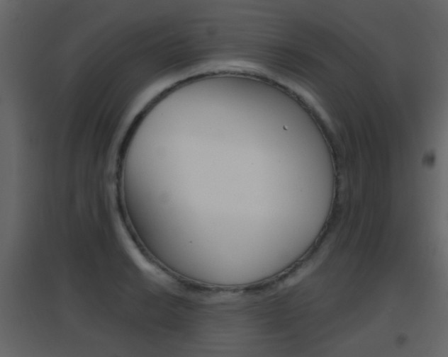 X0000096691038200802051032