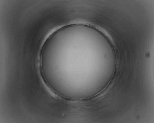 X0000096691040200802051032