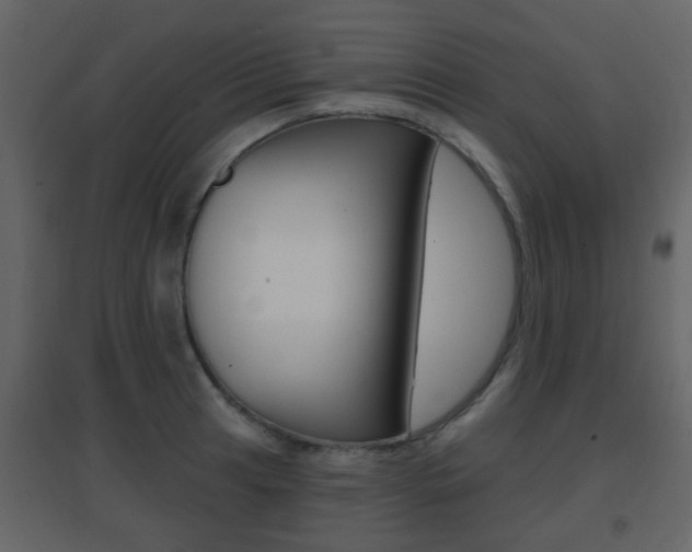 X0000096691041200802051032