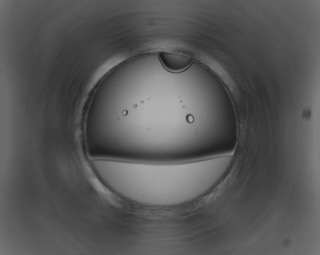 X0000096691042200802051032