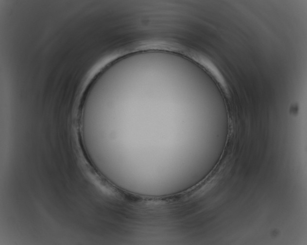 X0000096691043200802051032