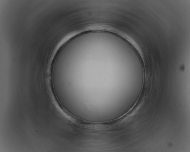 X0000096691045200802051032