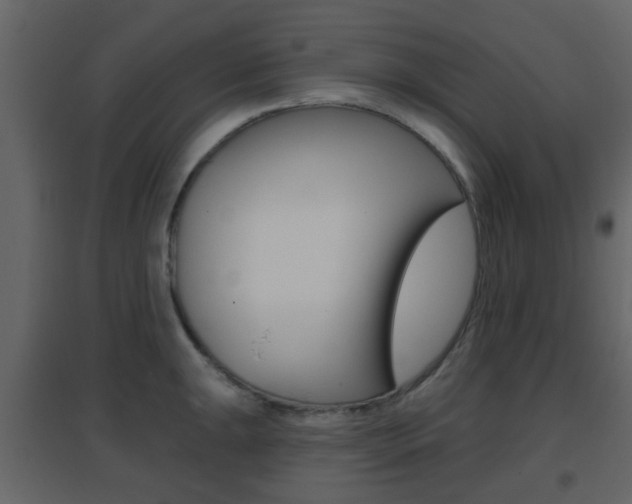 X0000096691047200802051032