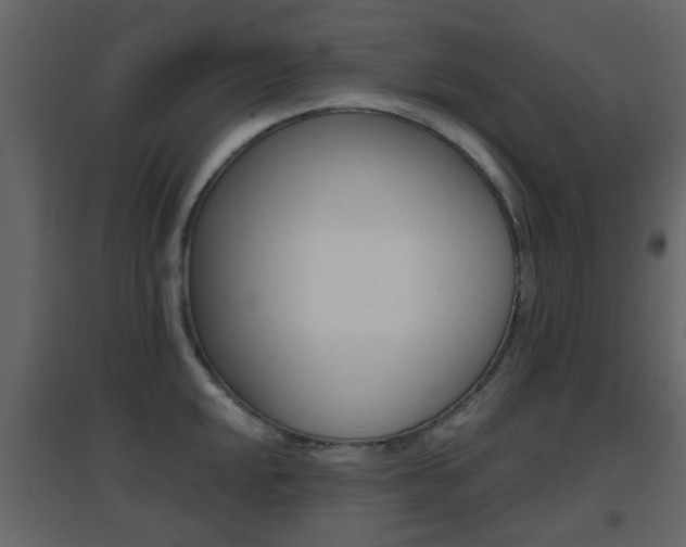 X0000096691048200802051032