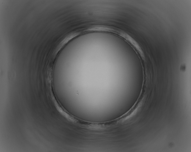 X0000096691049200802051032