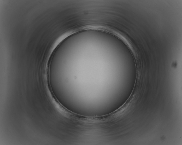 X0000096691050200802051032