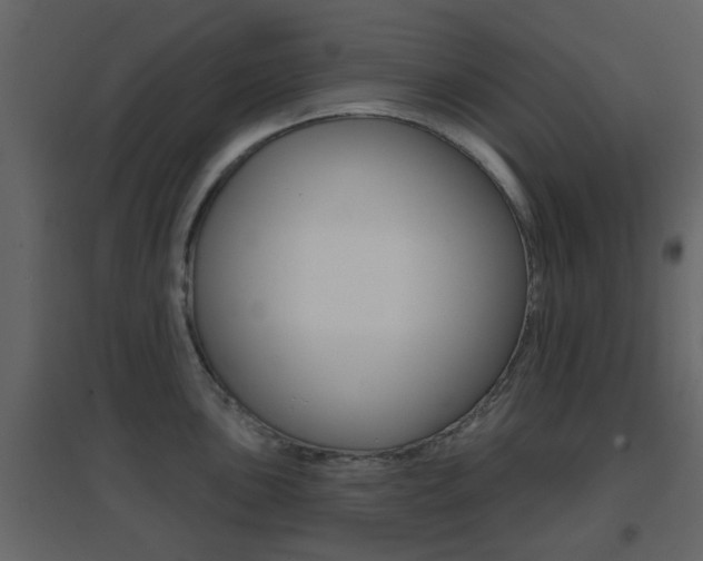 X0000096691051200802051032