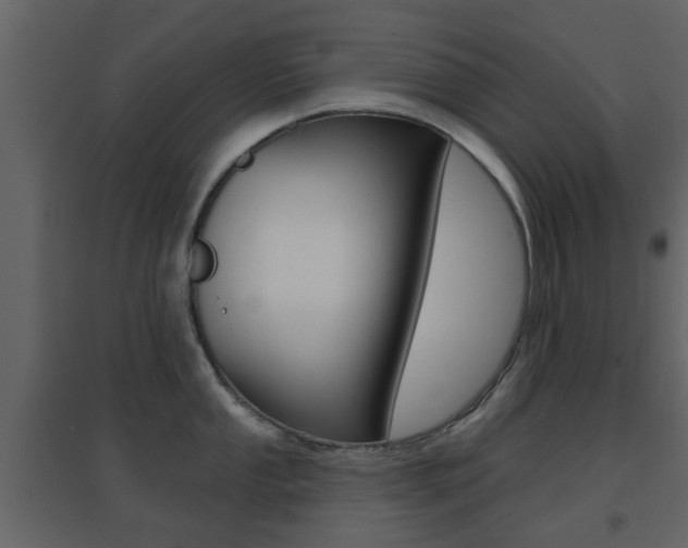 X0000096691053200802051032