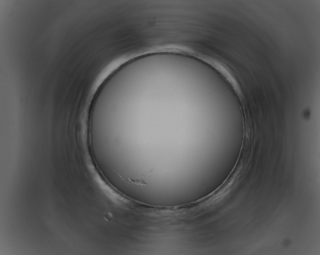 X0000096691054200802051032