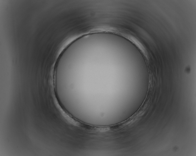 X0000096691055200802051032