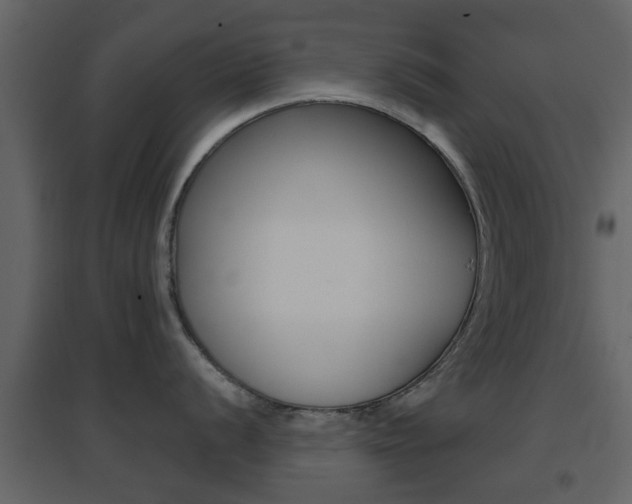 X0000096691056200802051032