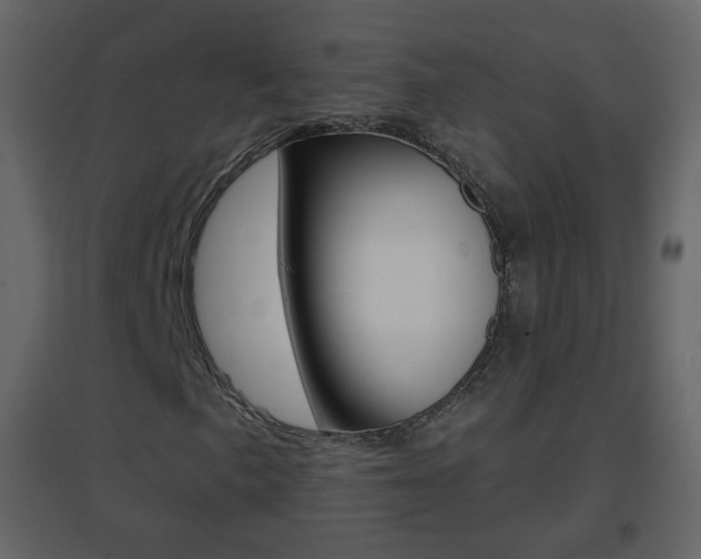 X0000096691057200802051032