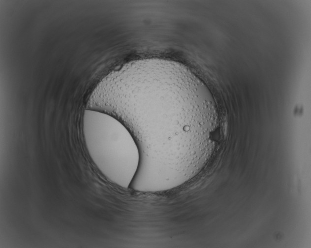 X0000096691059200802051032