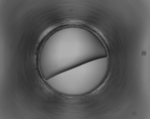 X0000096691066200802051032
