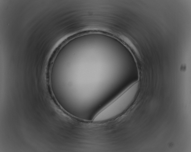 X0000096691068200802051032