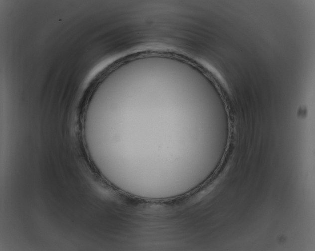 X0000096691070200802051032