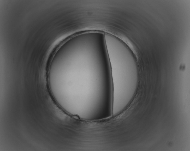 X0000096691072200802051032