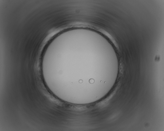 X0000096691074200802051031