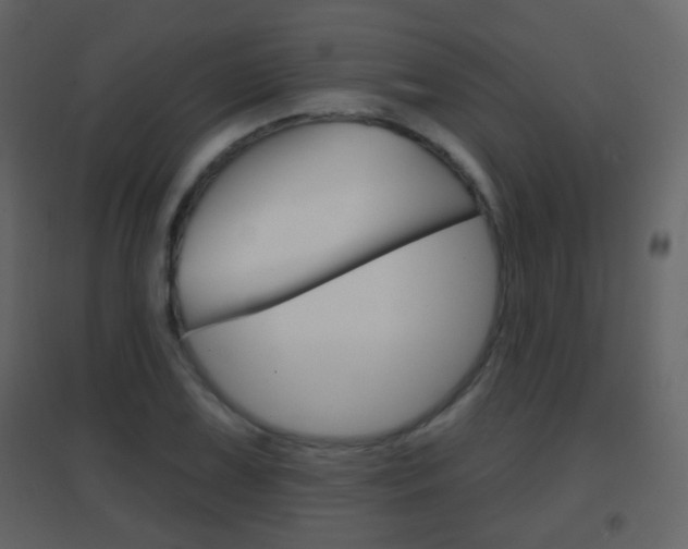 X0000096691075200802051031