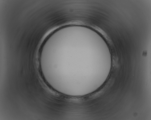 X0000096691078200802051031