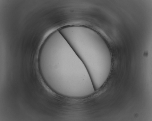 X0000096691079200802051031