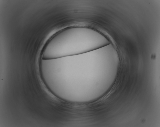X0000096691083200802051031