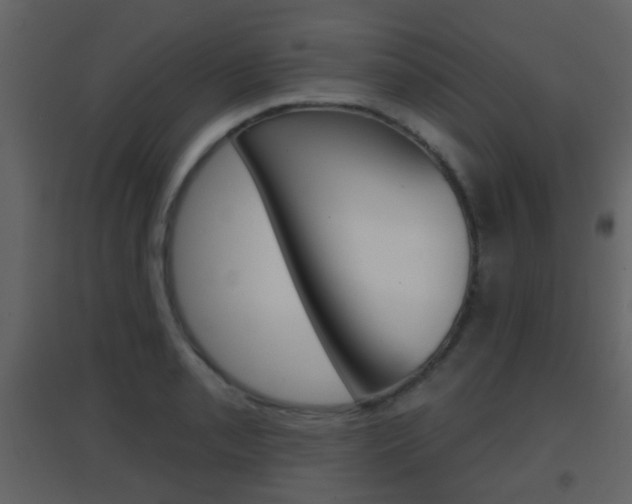 X0000096691085200802051031