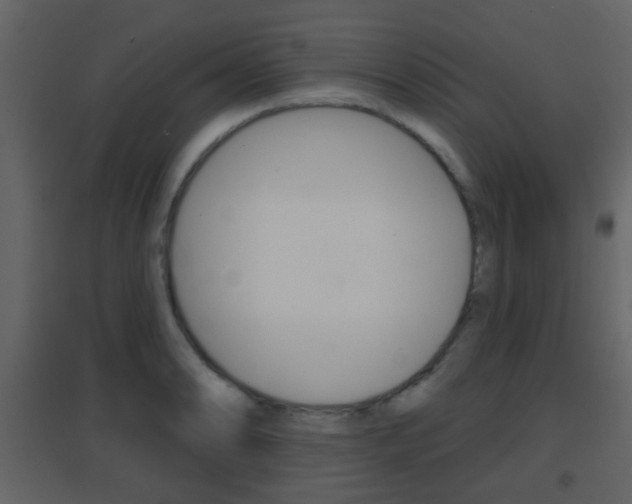 X0000096691086200802051031