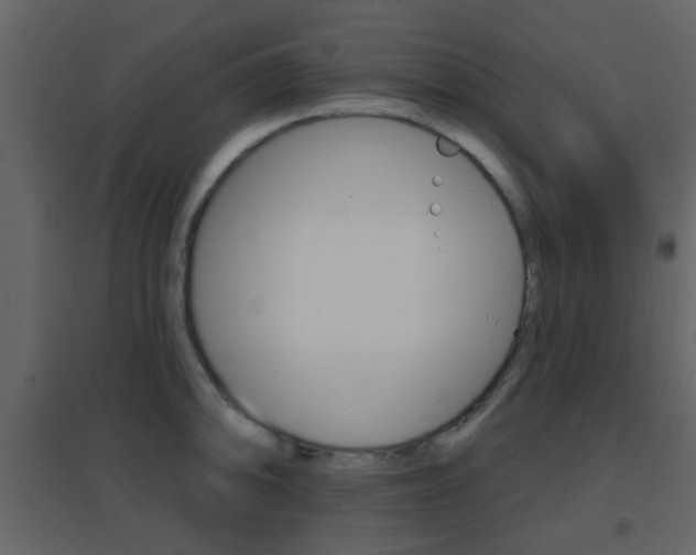 X0000096691094200802051031