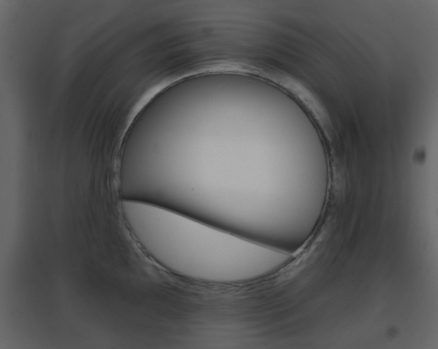 X0000096691097200802051031