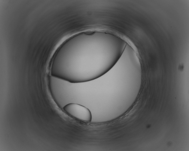 X0000096691099200802051031