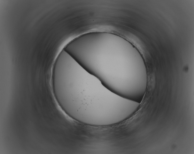 X0000096691103200802051031