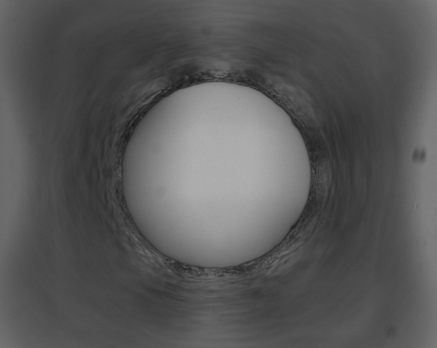 X0000096691105200802051030