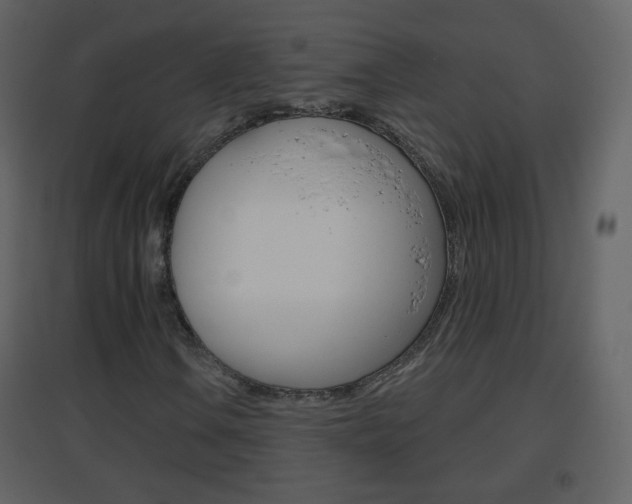 X0000096691106200802051030